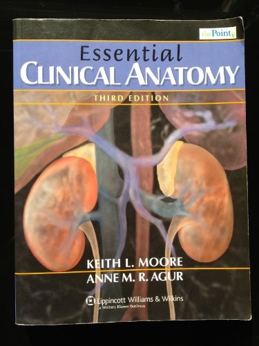 Essential Clinical Anatomy (Point (Lippincott W… by Agur, Anne M. R. Paperback