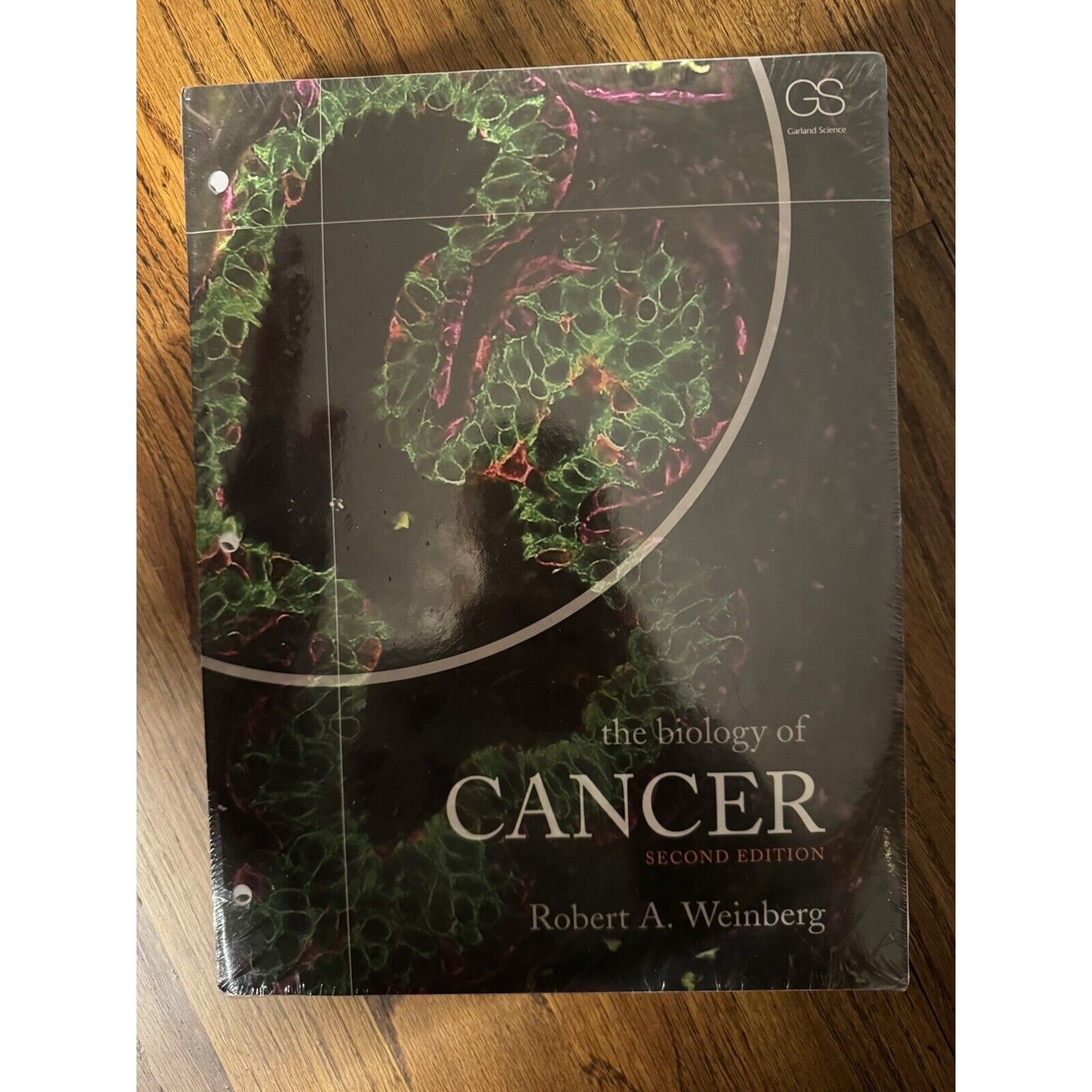 Biology of Cancer by Robert A. Weinberg (2013, Ringbound)