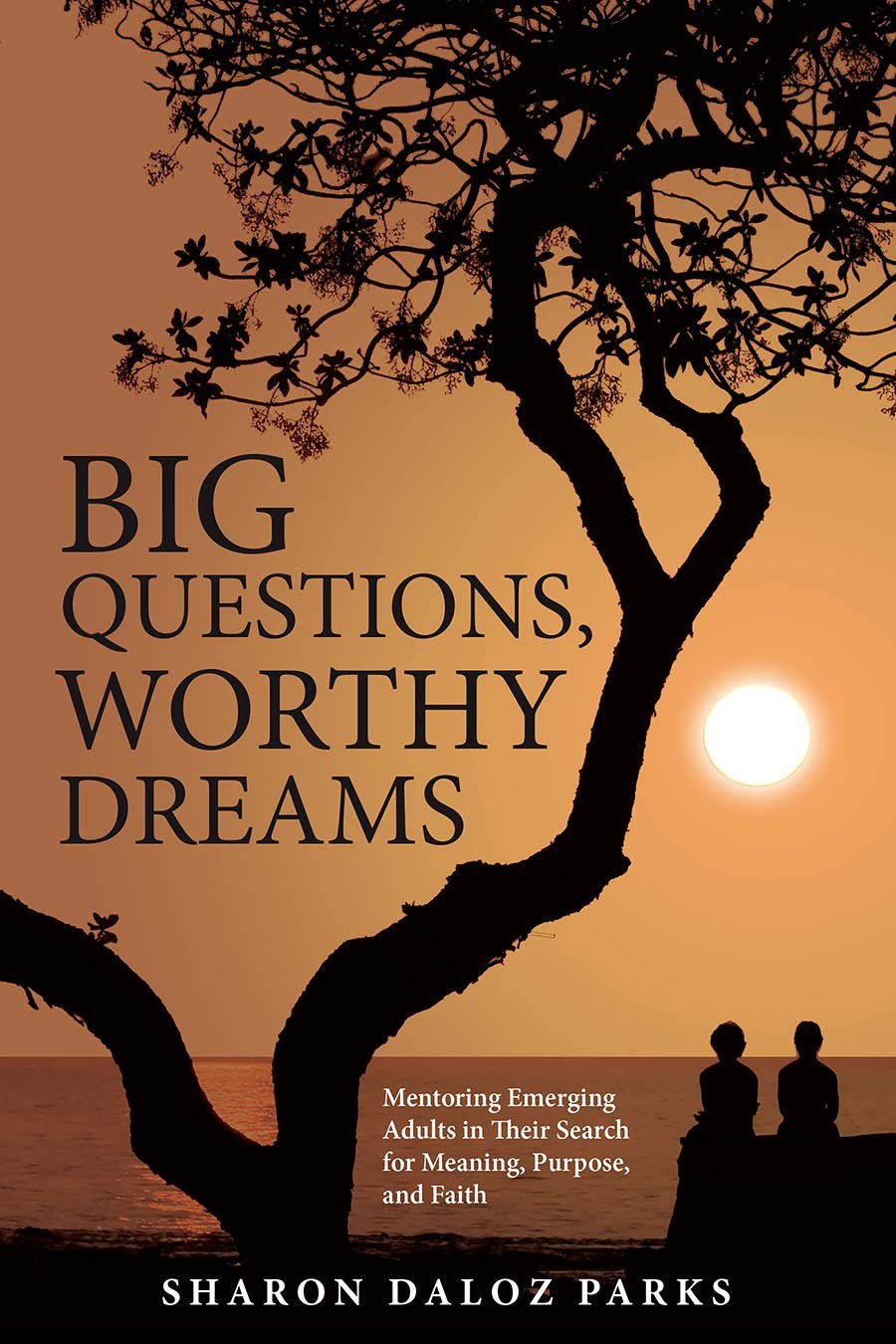 Big Questions, Worthy Dreams: Mentoring Emerging Adults in Their Search for …
