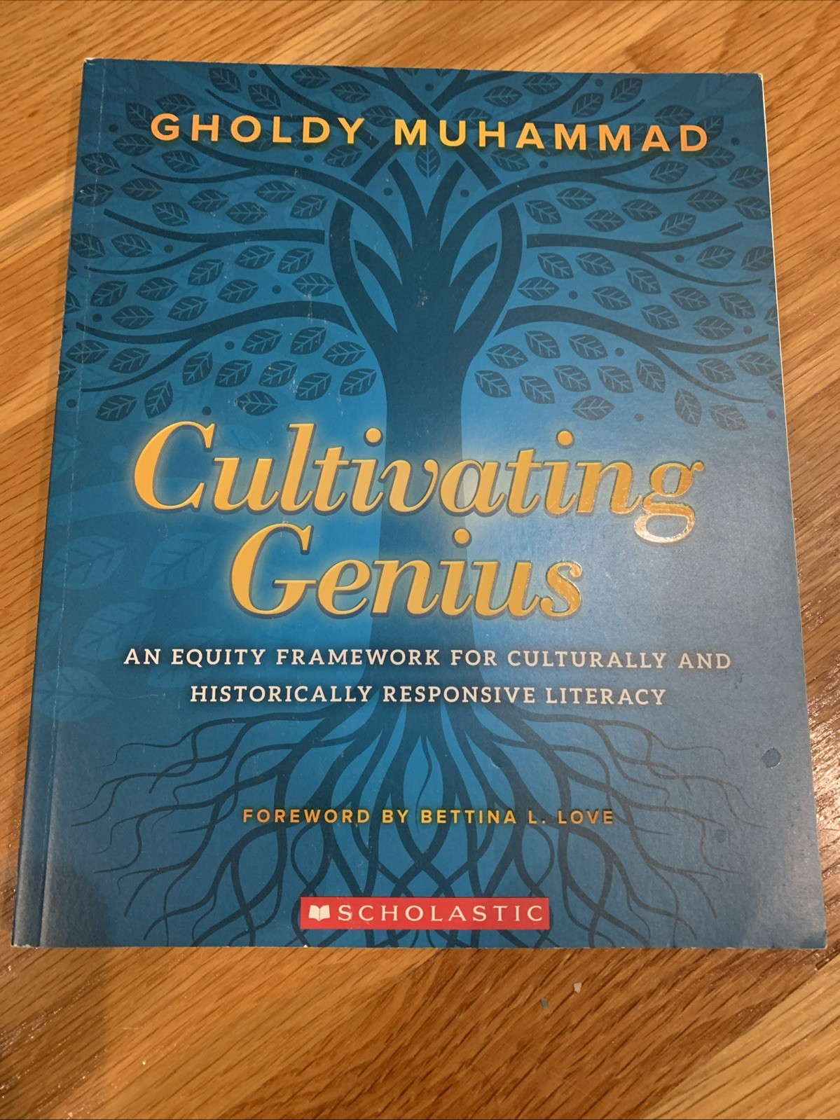 Cultivating Genius: An Equity Framework By Gholdy Muhammad