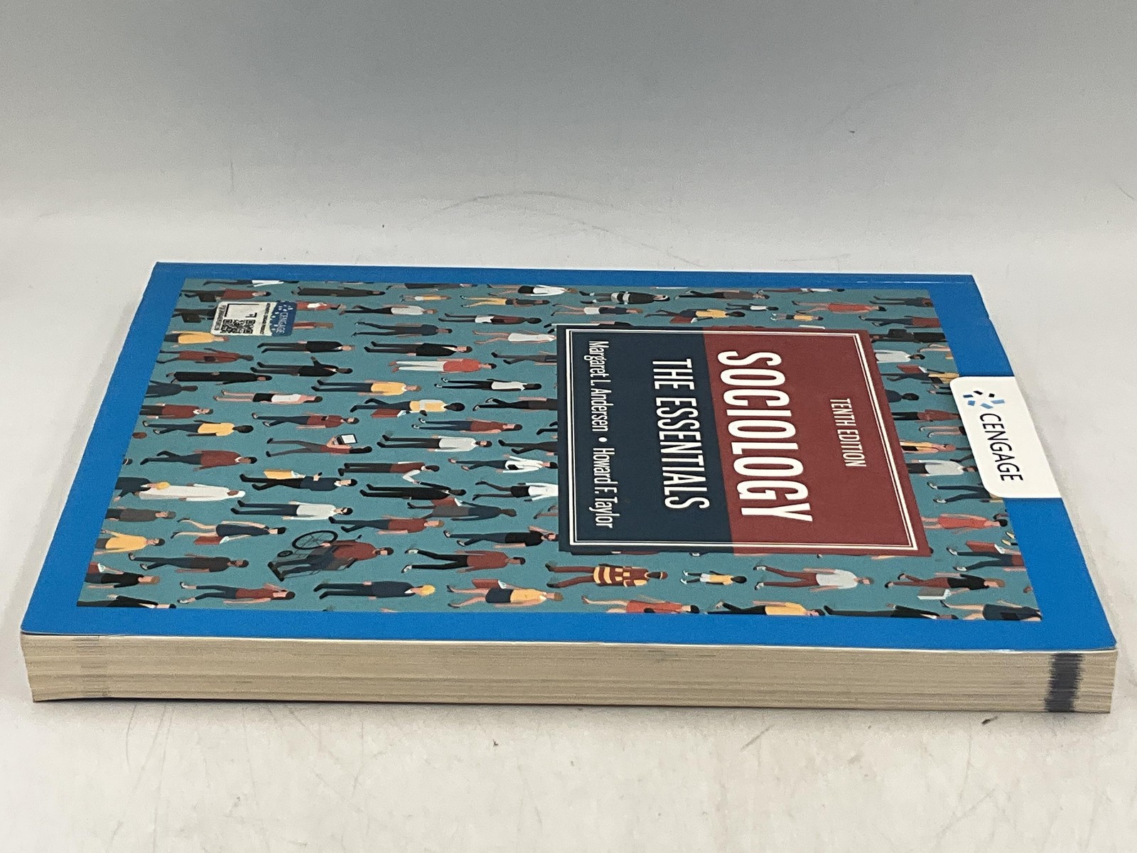 SOCIOLOGY The Essentials Andersen Taylor 2020 Paperback