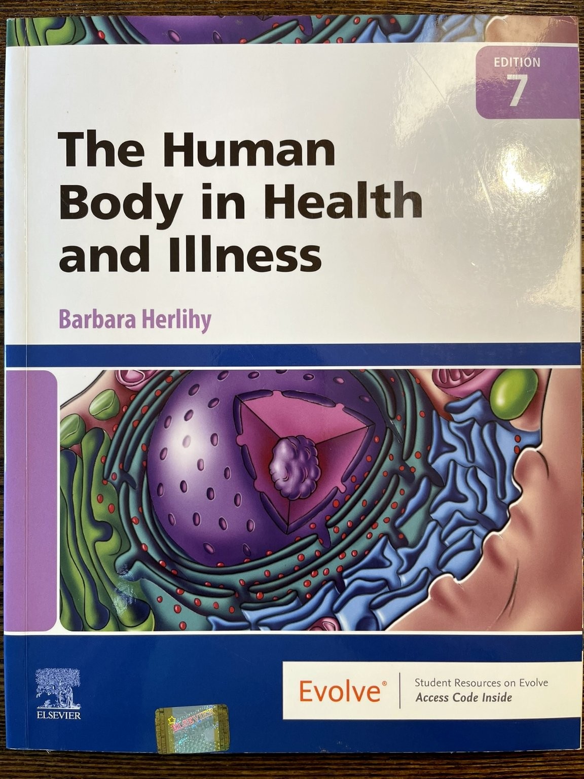 The Human Body in Health and Illness Herlihy 7th Edition Elsevier Anatomy:VG