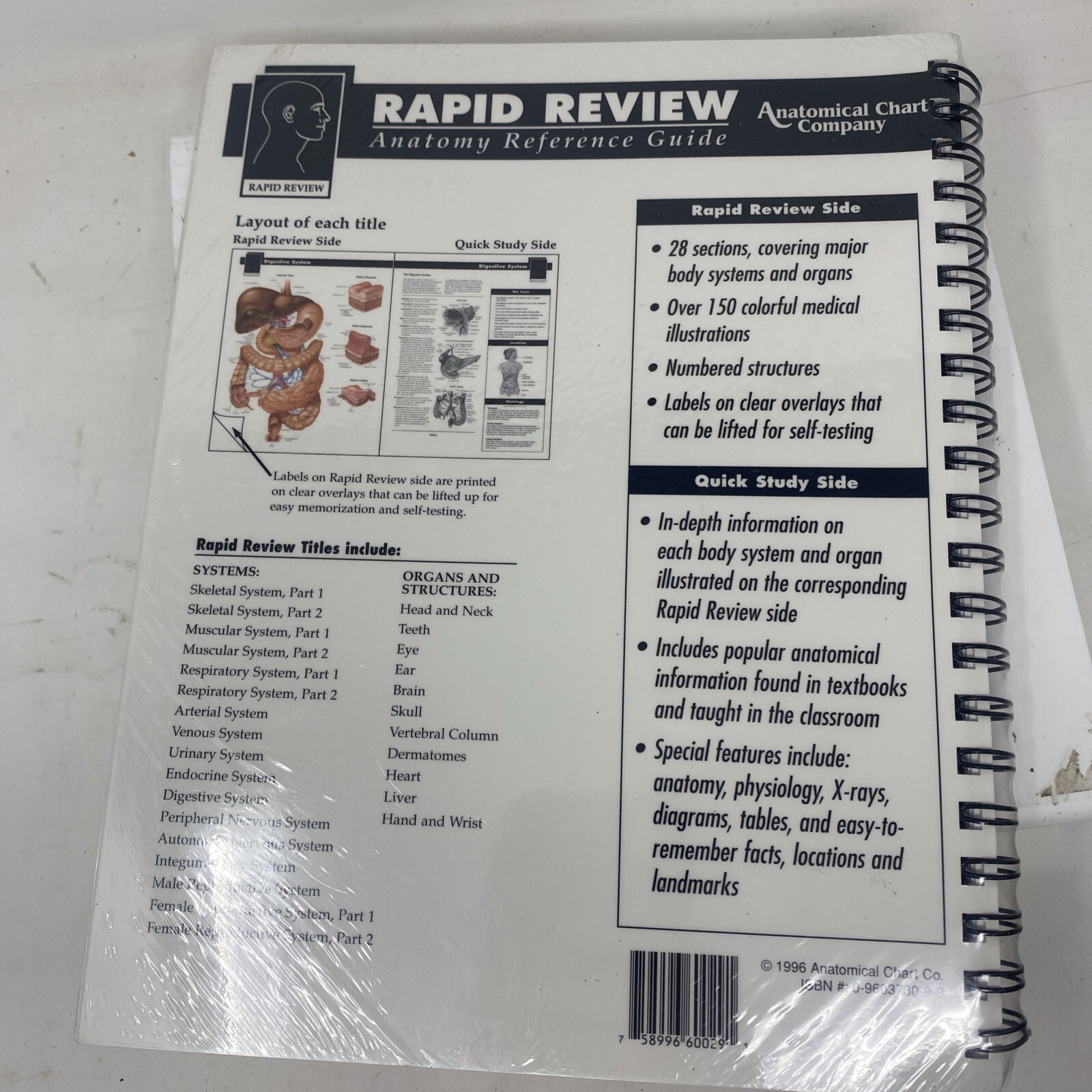 Rapid Review : Anatomy Reference Guide by Anatomical Chart Company Staff (2005,