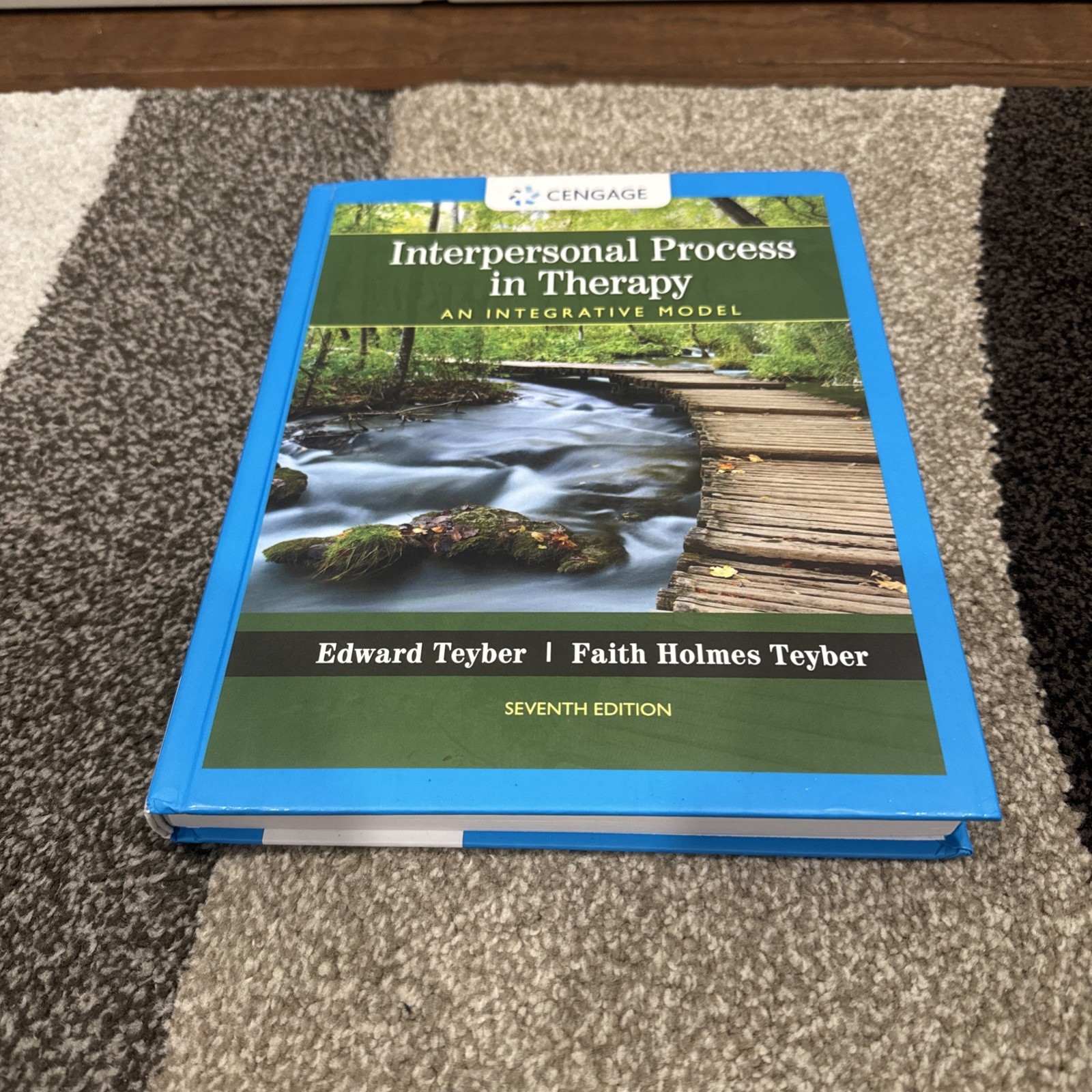 Interpersonal Process in Therapy : an Integrative Model Seventh Edition 51A