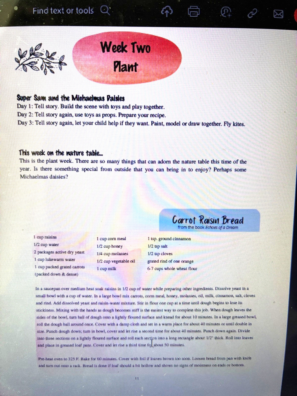 Waldorf Essentials KINDERGARTEN YEAR TWO by Melisa Nielsen 2021, PDF FORMAT