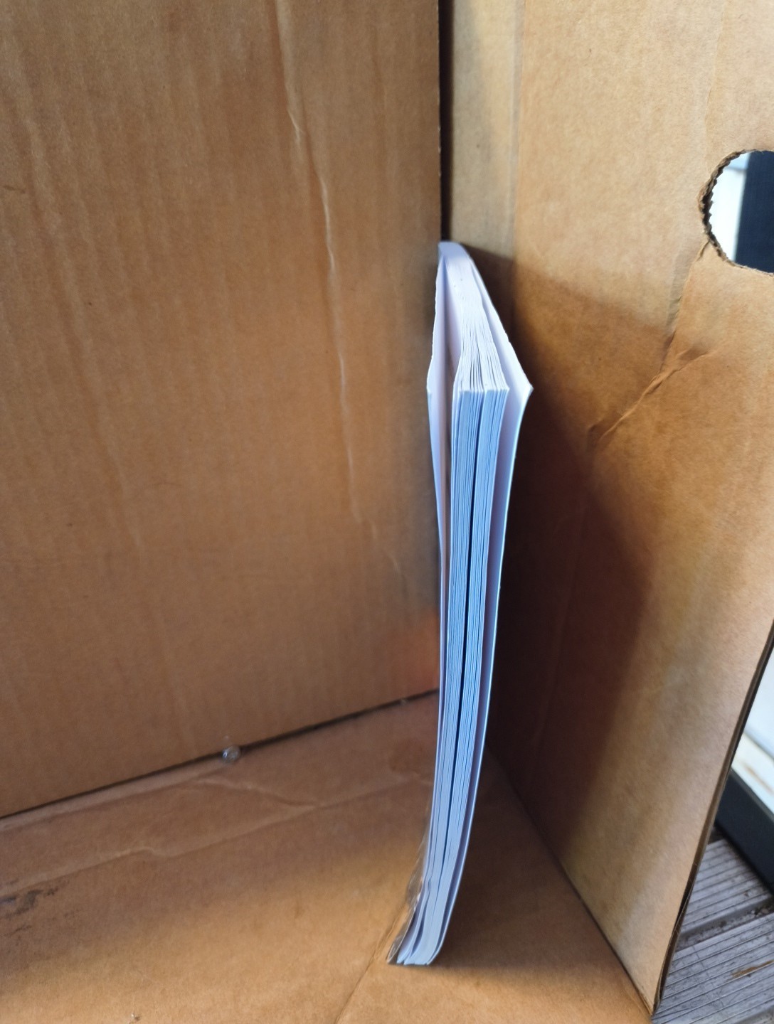 Systems Thinking for Curious Managers : With 40 New Management F-Law by Herbert