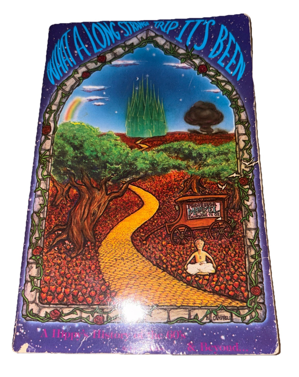 What a Long Strange Trip It’s Been Lewis Sanders 1989 Hippy 60’s History