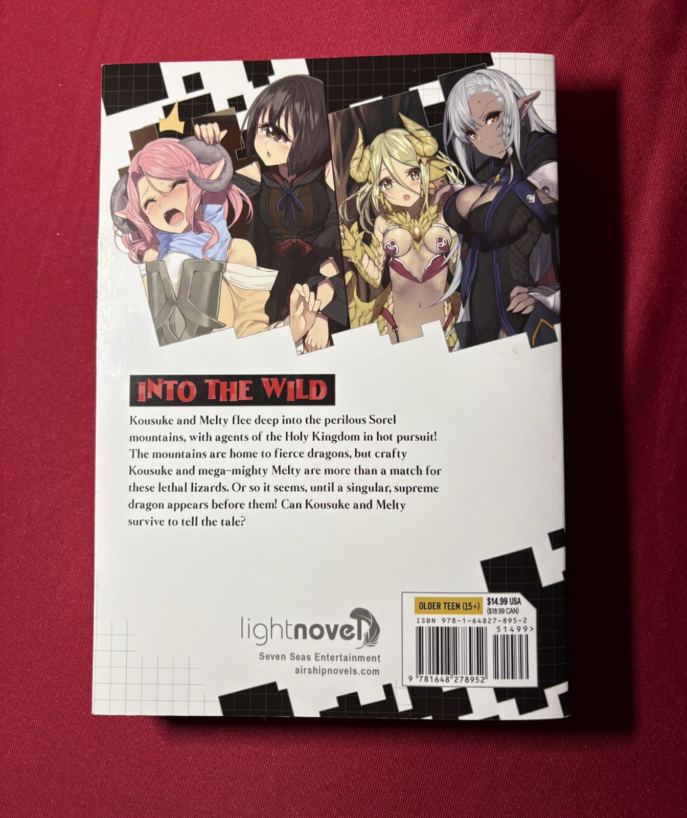 Survival in Another World with My Mistress!, Vol 4 UNREAD English Light Novel