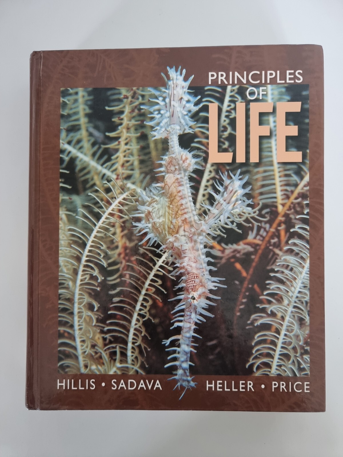 Principles of Life by Professor Mary V Price, University David M Hillis, Univers