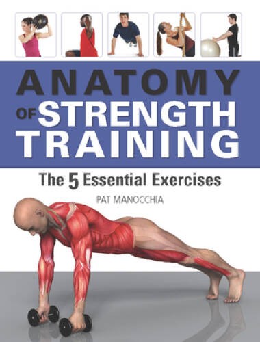 Anatomy of Strength Training: The Five Essential Exercises – Paperback – GOOD