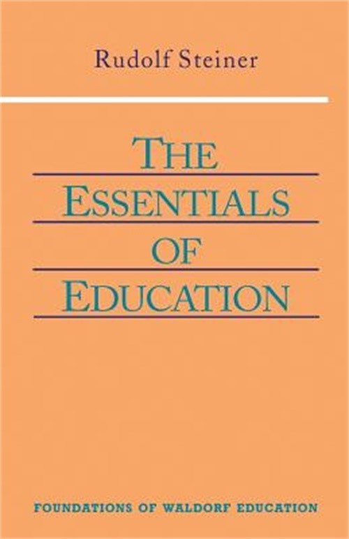 The Essentials of Education: (Cw 308) (Paperback or Softback)