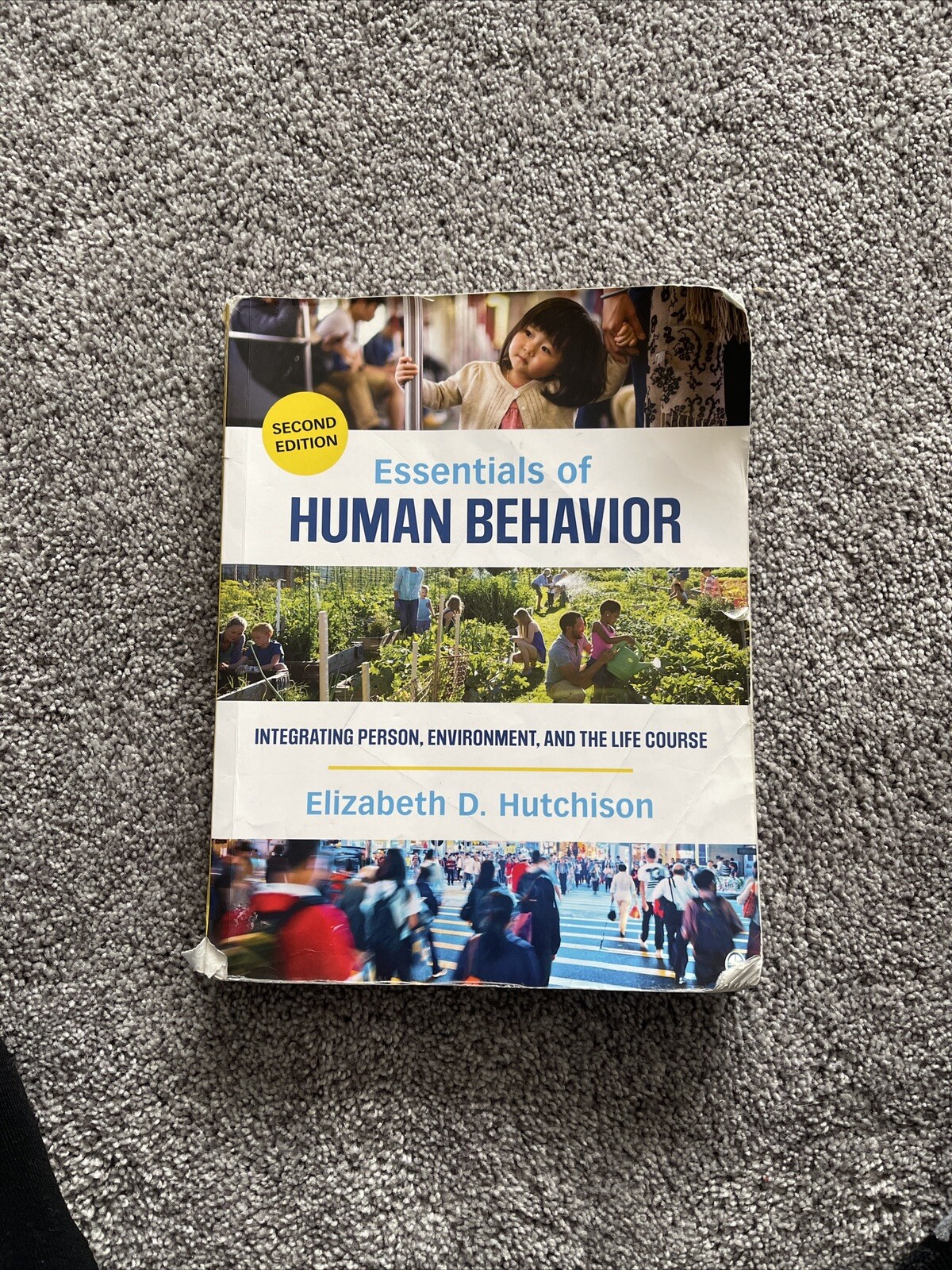 Essentials of Human Behavior : Integrating Person, Environment, and the Life…