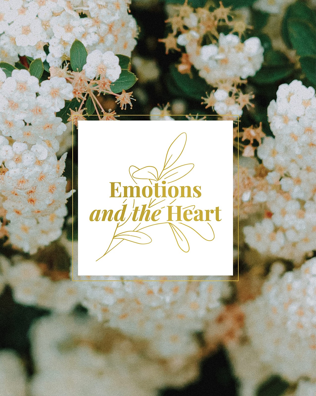 Emotions and the Heart
