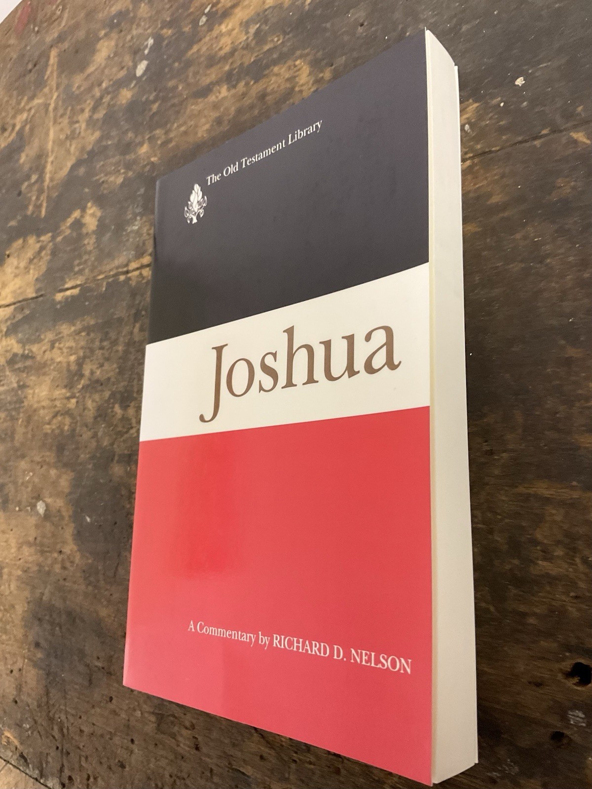 Joshua: A Commentary by Richard D. Nelson (1997, Trade Paperback)