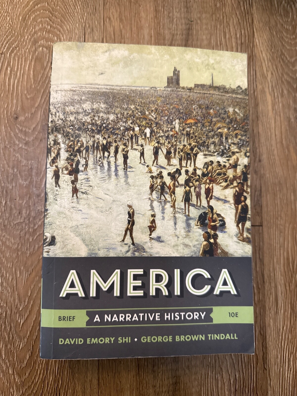 America: A Narrative History (Brief Tenth Edition) (Vol. – VERY GOOD