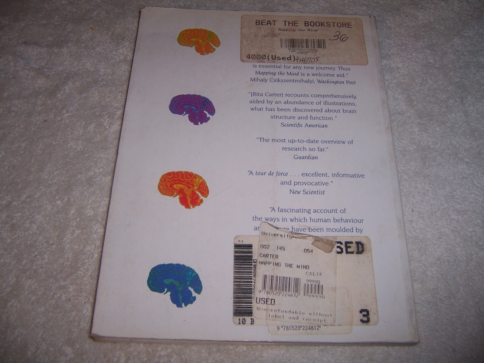 Mapping the Mind by Rita Carter pb