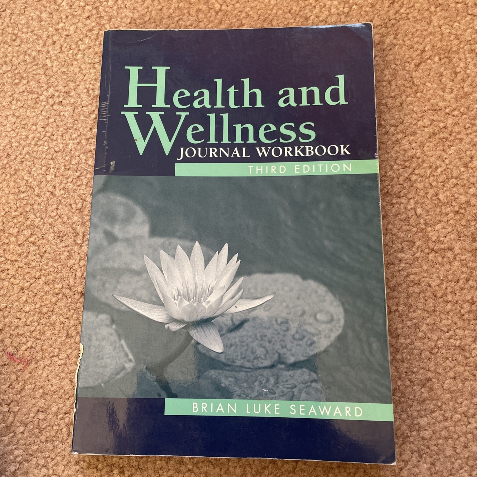Health And Wellness Journal – Paperback By Seaward, Brian Luke – GOOD