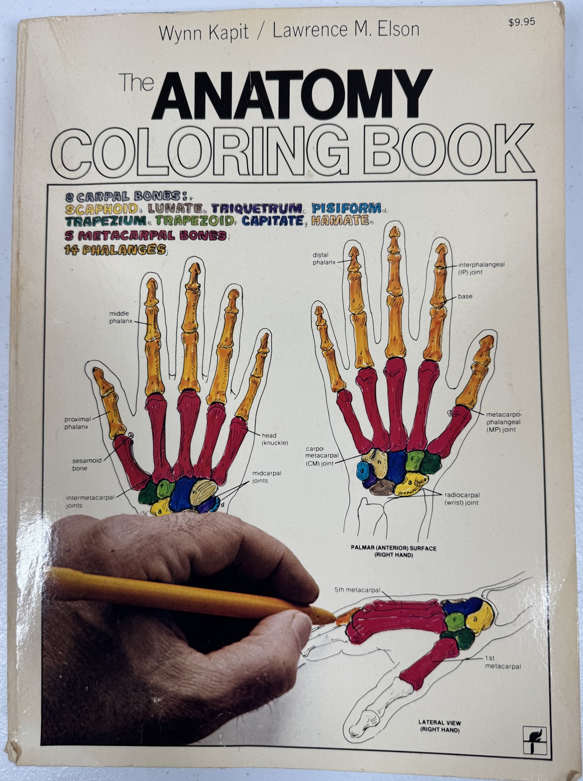 The Anatomy Coloring Book by Kapit & Elson – Vintage Paperback Medical Study Aid