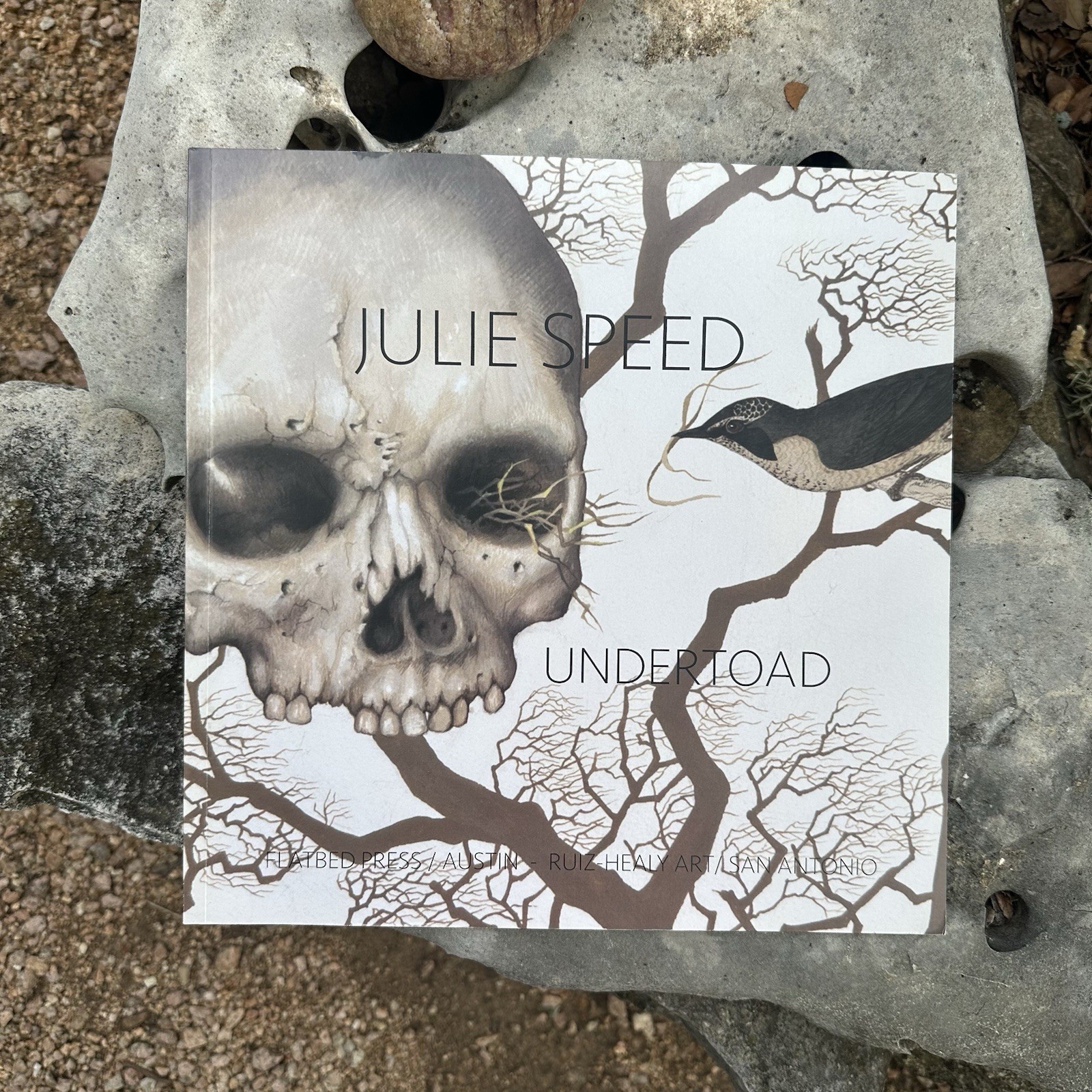 Julie Speed – Undertoad by Lyle W. Williams (2015, Trade Paperback) Art Book