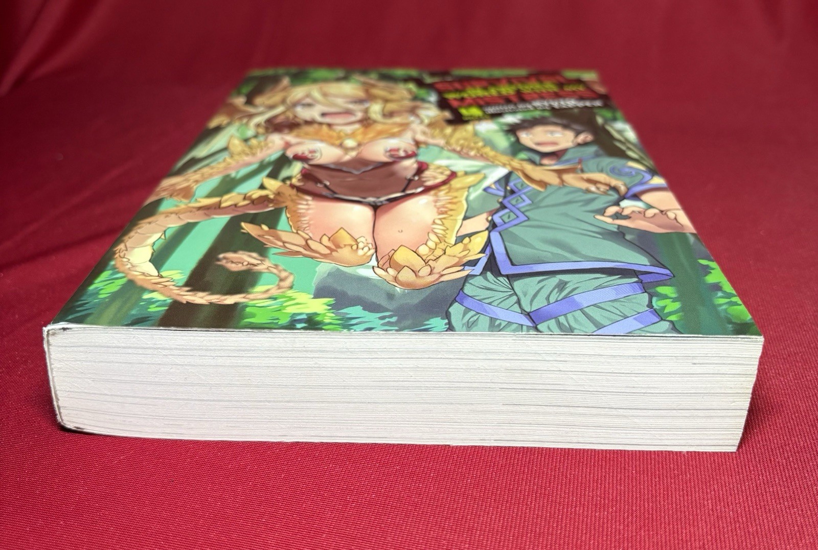 Survival in Another World with My Mistress!, Vol 4 UNREAD English Light Novel