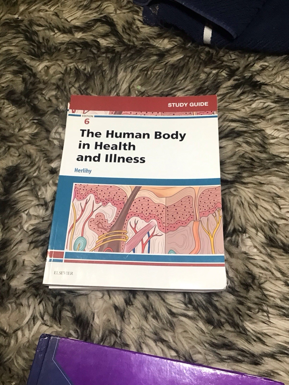 Study Guide for the Human Body in Health and Illness by Barbara Herlihy 2017 6th
