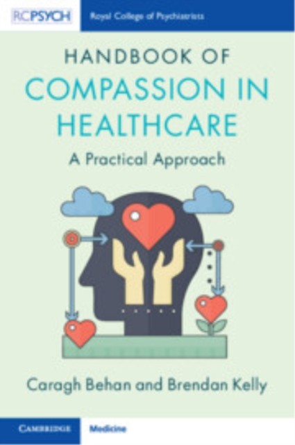 HANDBOOK OF COMPASSION IN HEALTHCARE by BEHAN, CARAGH Paperback Self Help