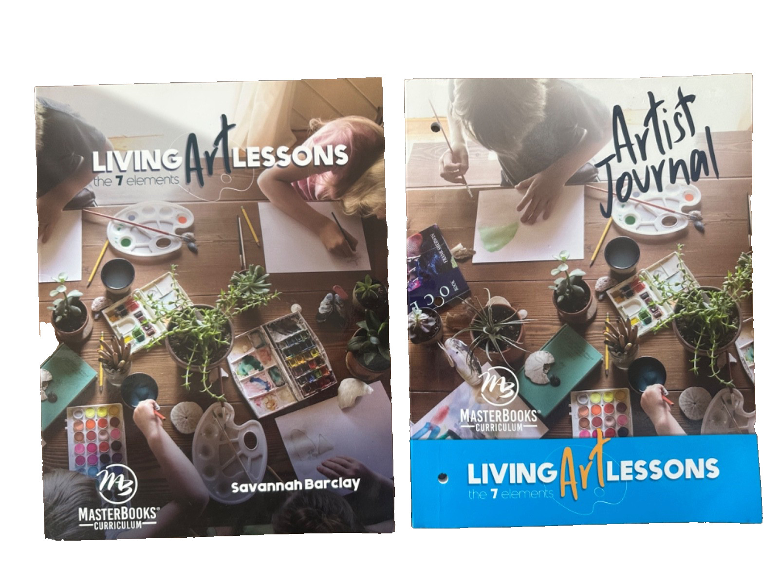 Living Art Lessons (Artist’s Journal) Paperback Set Workbook Grades 4-6