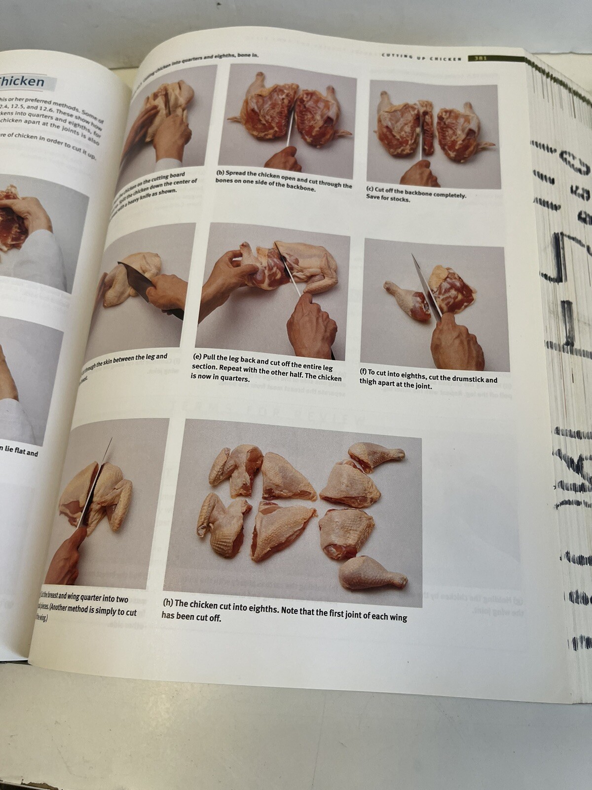Professional Cooking by Mary Ellen Griffin and Wayne Gisslen (2010, Hardcover)
