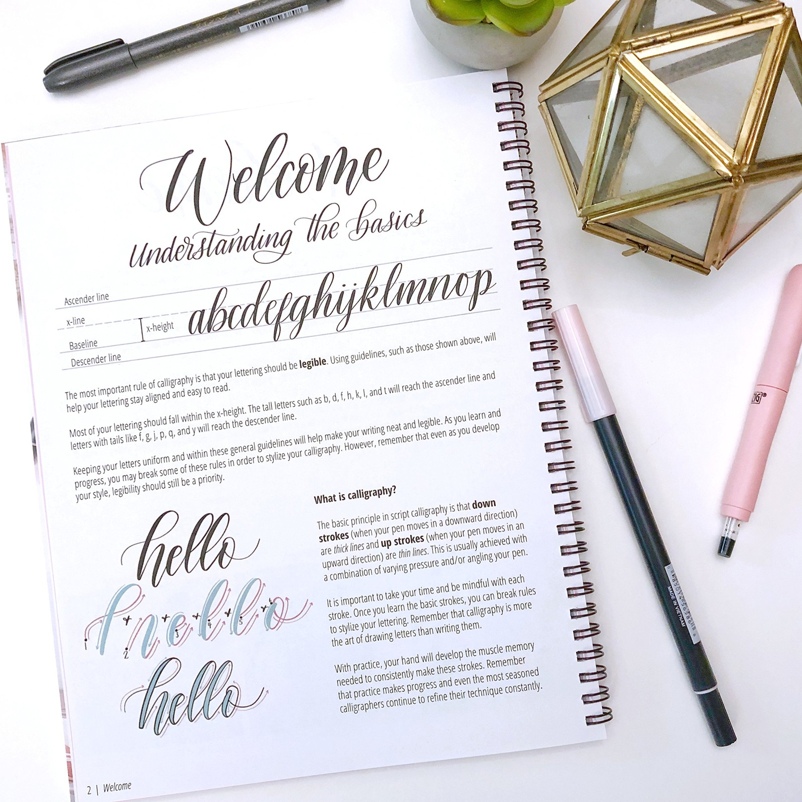 Modern Calligraphy A Beginners Guide to Pointed Pen and Brush Pen Lettering