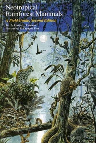 Neotropical Rainforest Mammals: A Field Guide by Louise H Emmons: Used