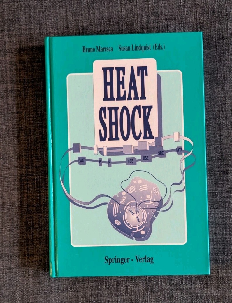 Heat Shock Bruno Maresca Susan Lindquist 1991 Hardcover Springer-Verlag Molecula