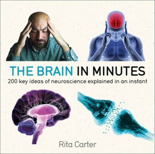 The Brain in Minutes [Paperback] [Jan 01, 2018] Rita Carter by Carter, Rita