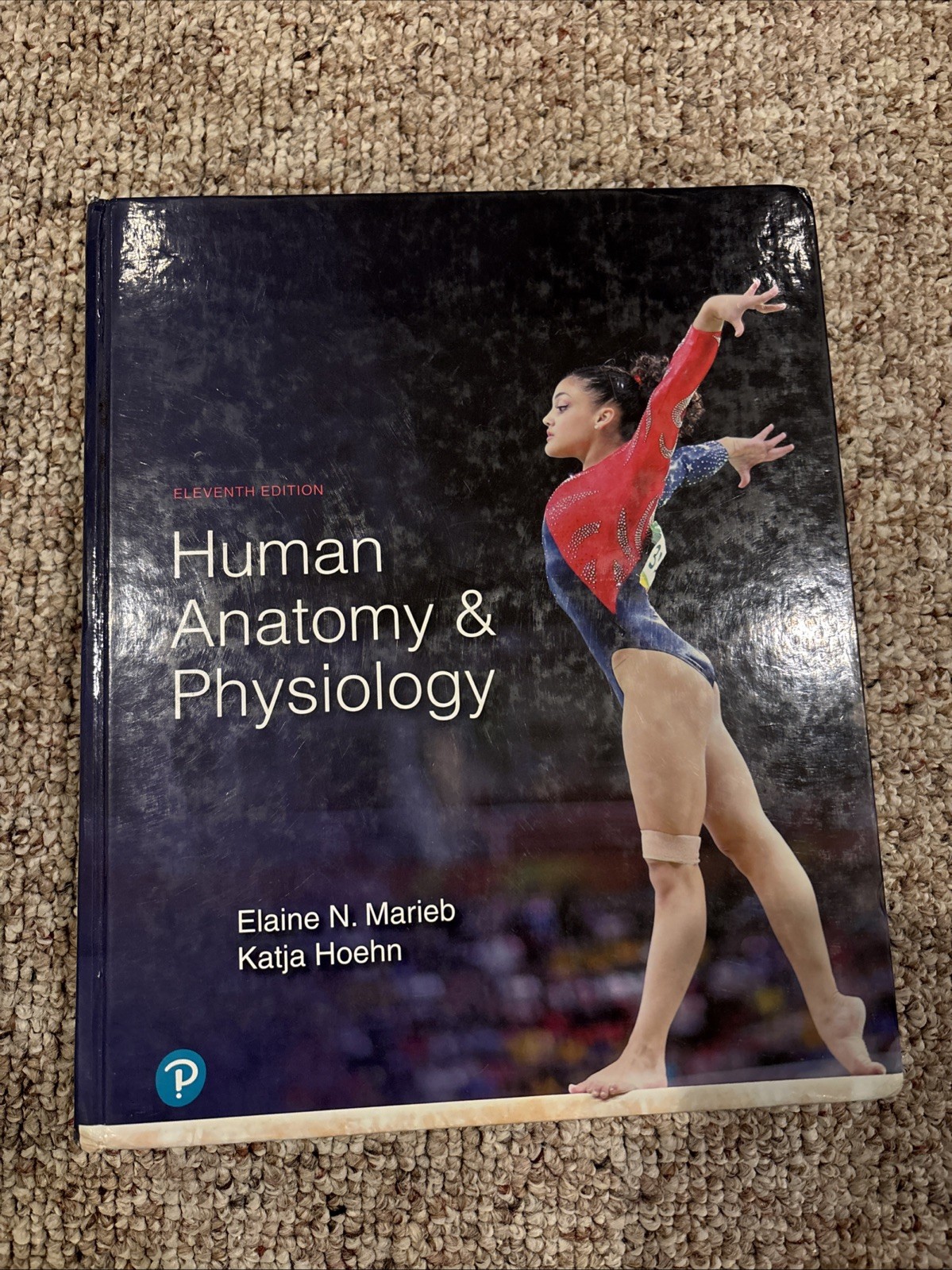 Human Anatomy and Physiology by Elaine Marieb and Katja Hoehn (2018, Hardcover)