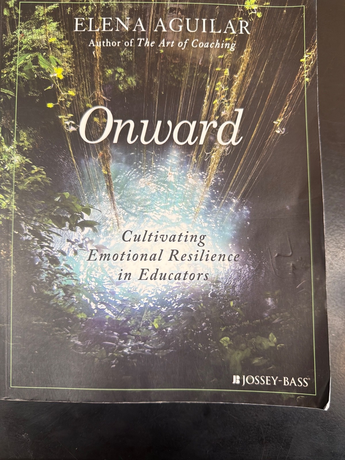 Onward : Cultivating Emotional Resilience in Educators by Elena Aguilar…