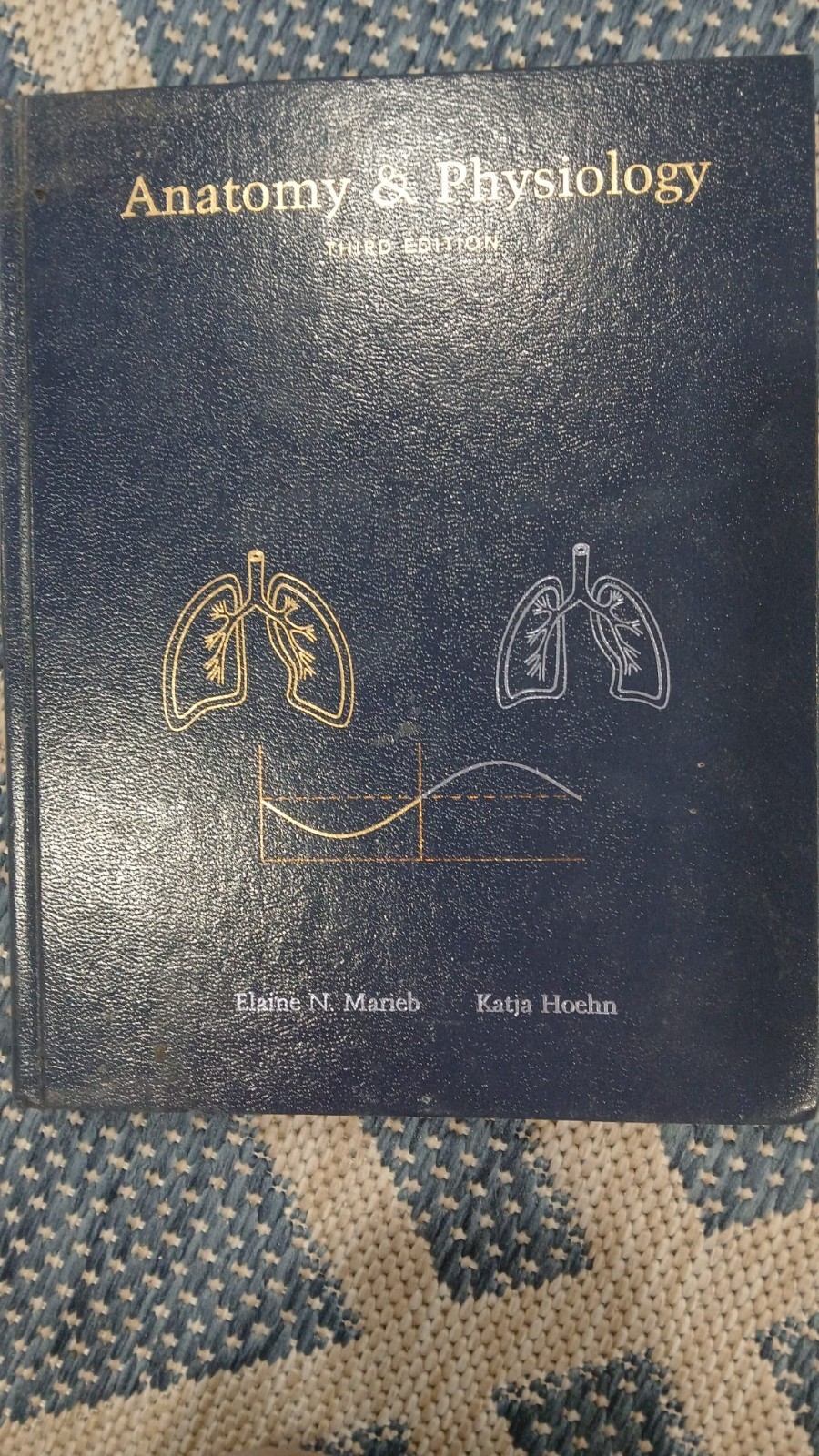 My a and P Ser.: Anatomy and Physiology by Elaine N. Marieb and Katja Hoehn…