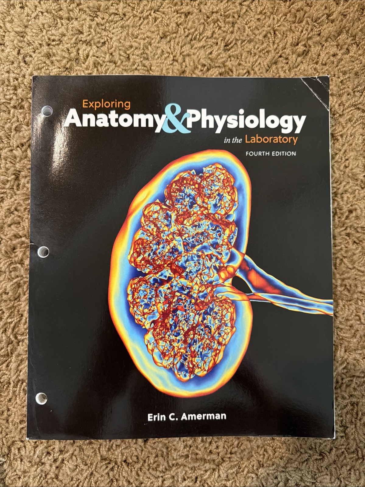 Exploring Anatomy & Physiology in the lab 4th Ed 9781640433984 Loose Leaf