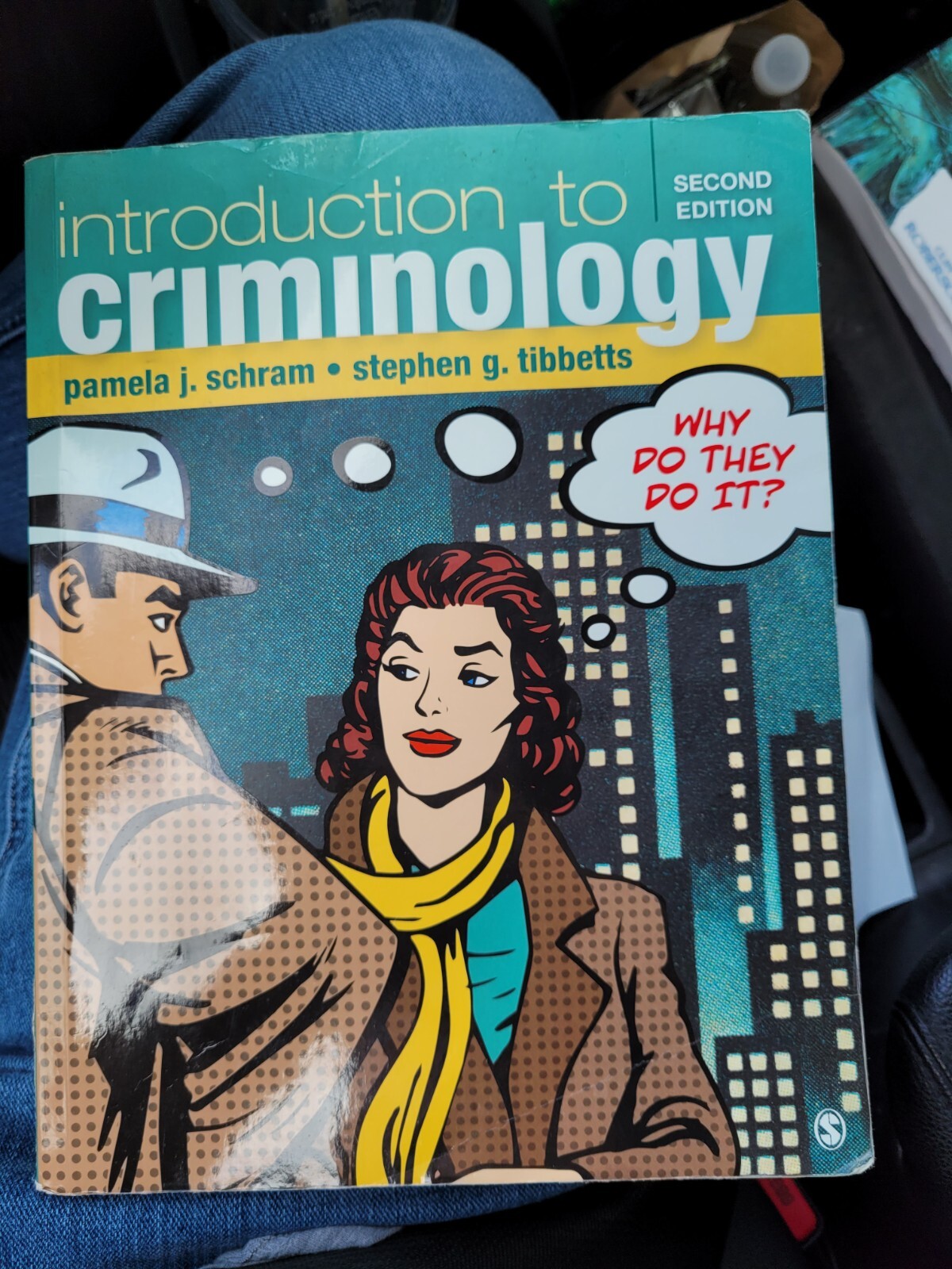 Introduction to Criminology : Why Do They Do It? by Stephen G. Tibbetts and…
