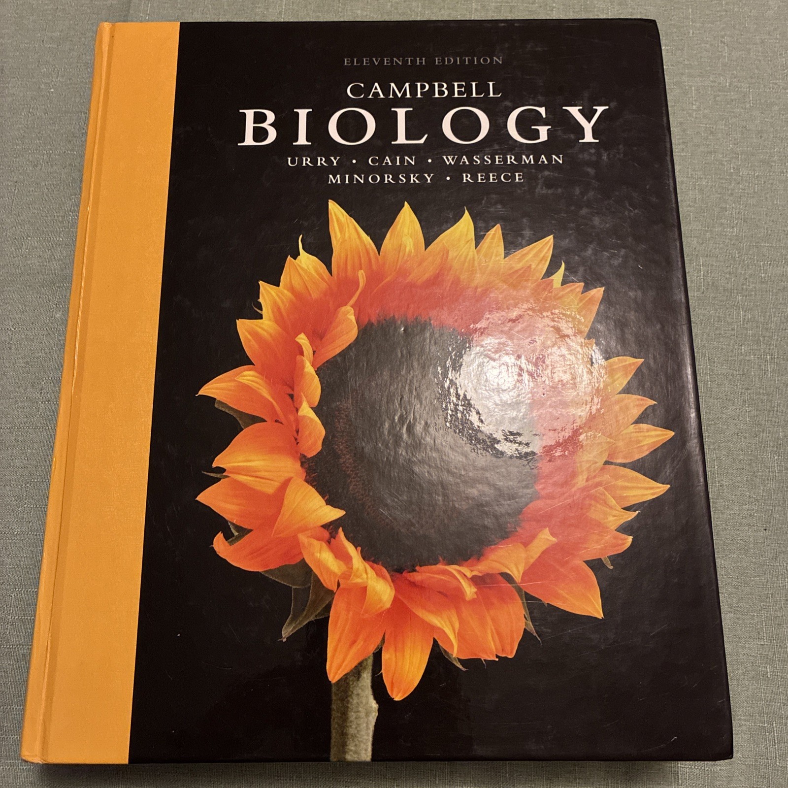 Campbell Biology Ser.: Campbell Biology by Lisa Urry, Steven Wasserman, Michael