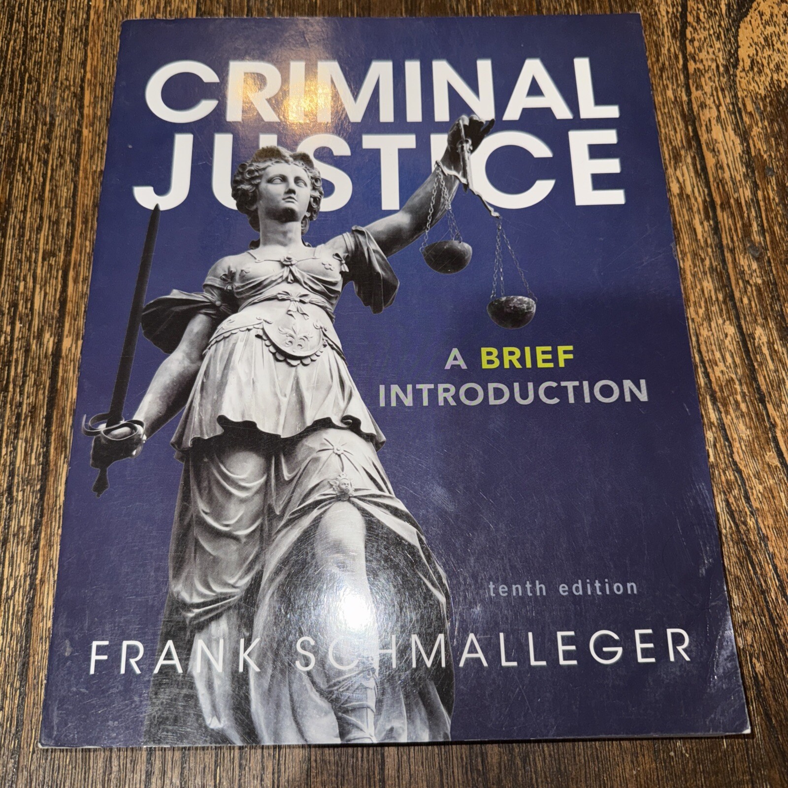 Criminal Justice A Brief Introduction by Frank J Schmalleger – Like NEW