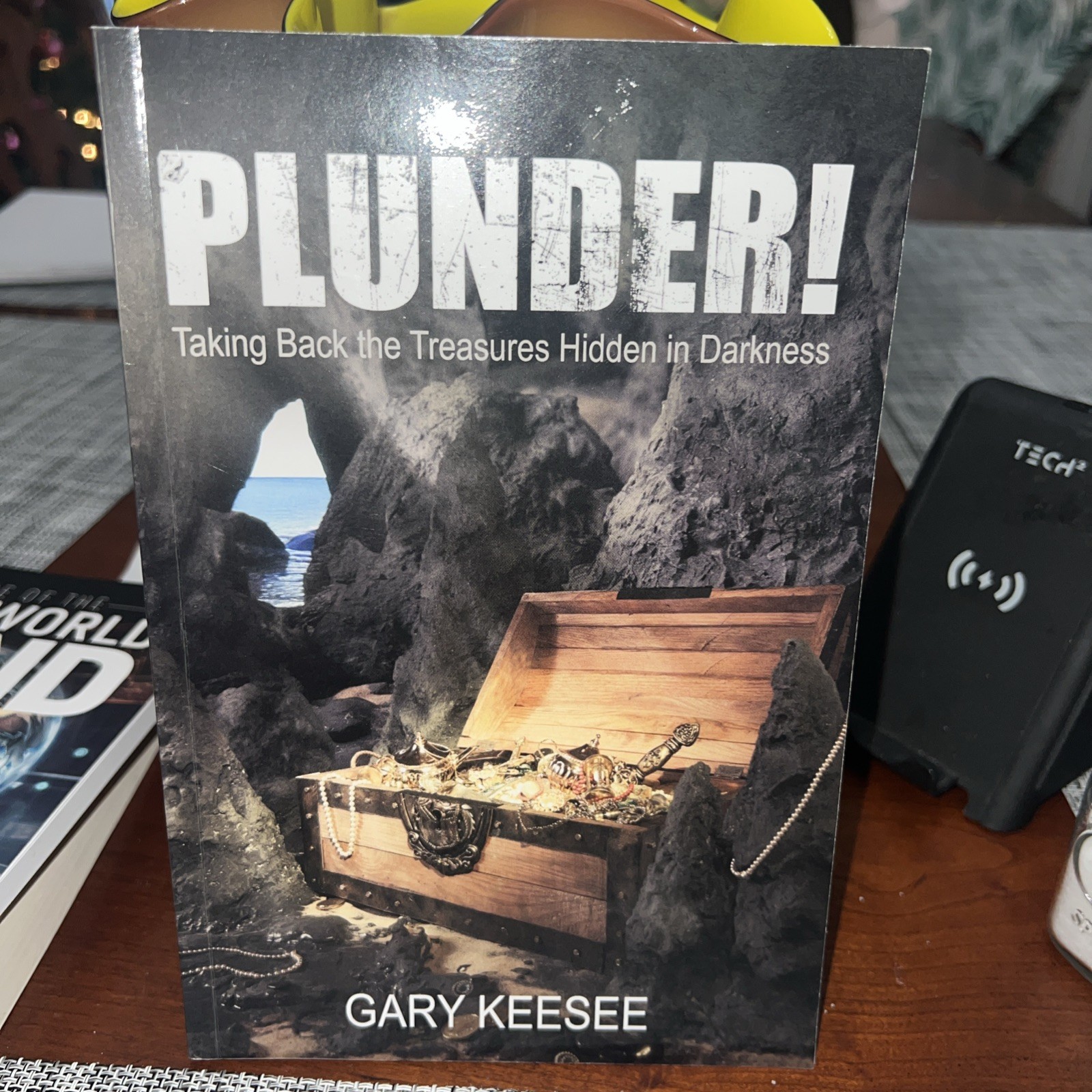 PLUNDER! Taking Back the Treasures Hidden in Darkness by Gary Keesee (2025,…