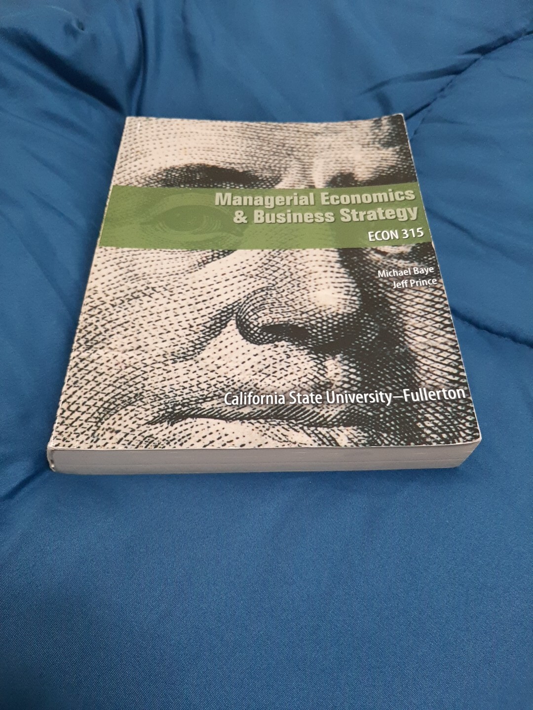 Managerial Economics and Business Strategy, Jeff Prince and Michael Baye 8th Ed