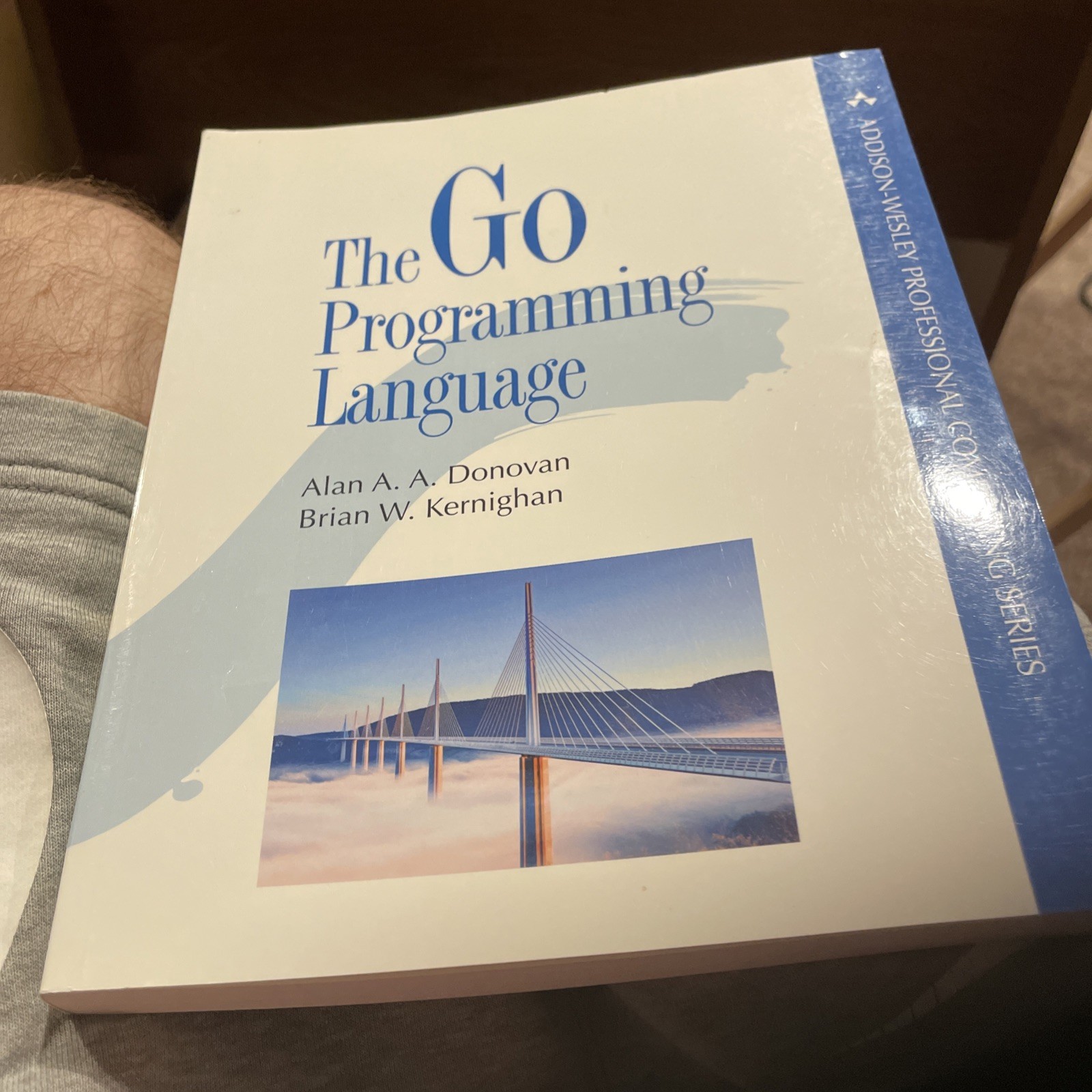 Addison-Wesley Professional Computing Ser.: Go Programming Language by Alan…