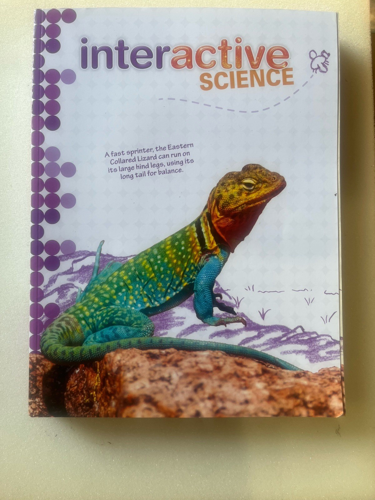 Pearson Interactive Science Grade 5 Textbook English Elementary School Science