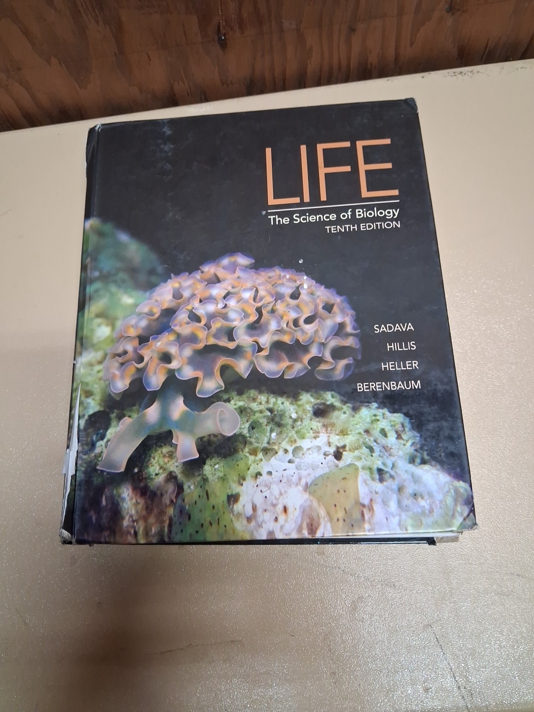 Life: The Science of Biology – Hardcover, by Sadava David; Hillis – Acceptable r