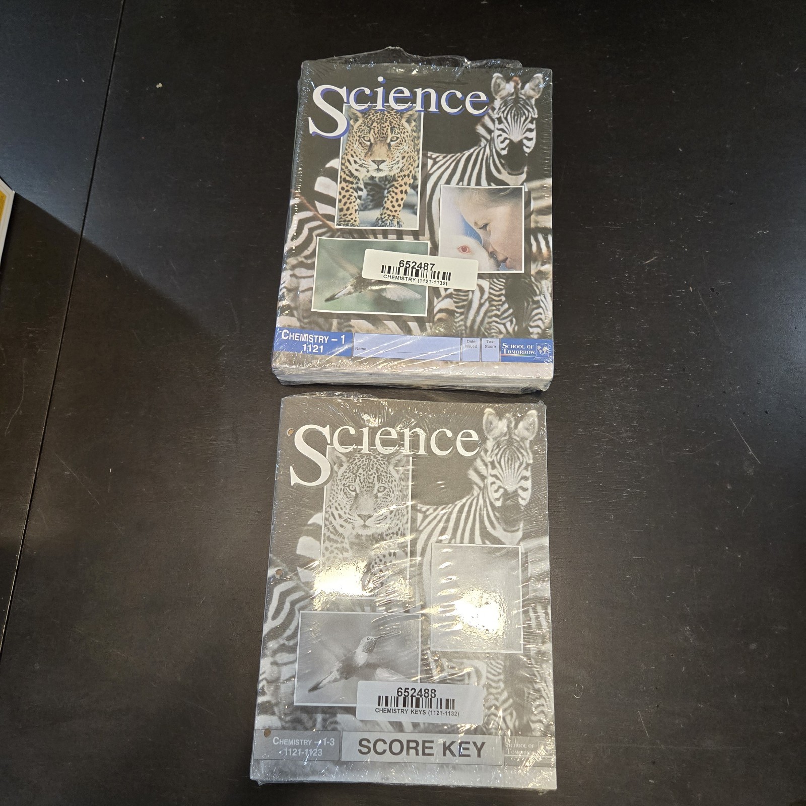 NEW School Of Tomorrow (ACE) Science grade 11 full set booklets/ answer keys 13