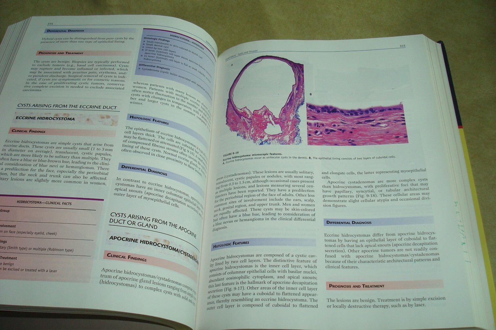Foundations in Diagnostic Pathology Ser.: Dermatopathology by Klaus J. Busam…