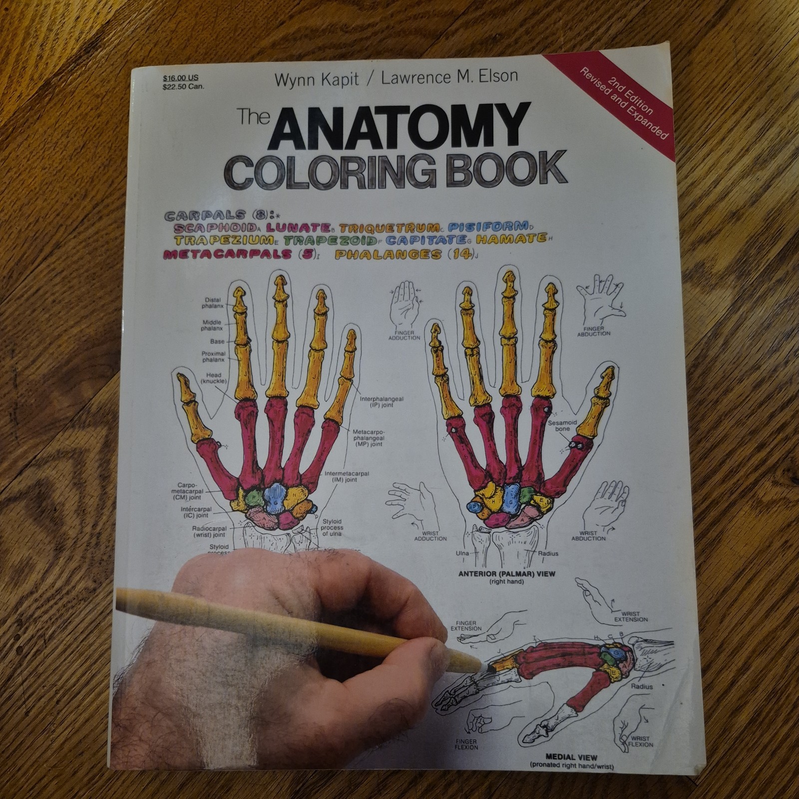 The Anatomy Coloring Book – paperback Wynn Kapit