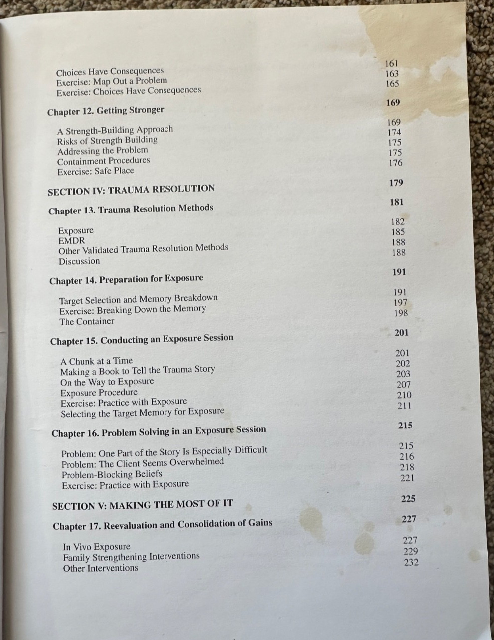 Child Trauma Handbook : A Guide for Helping Trauma-Exposed Children and…