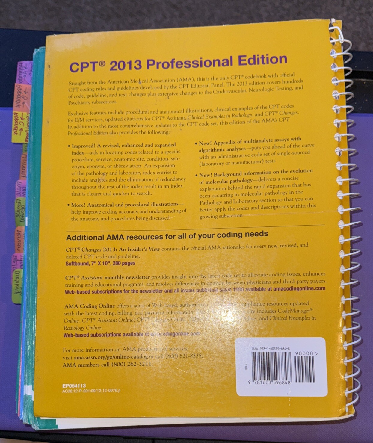 2013 CPT Book Professional Edition