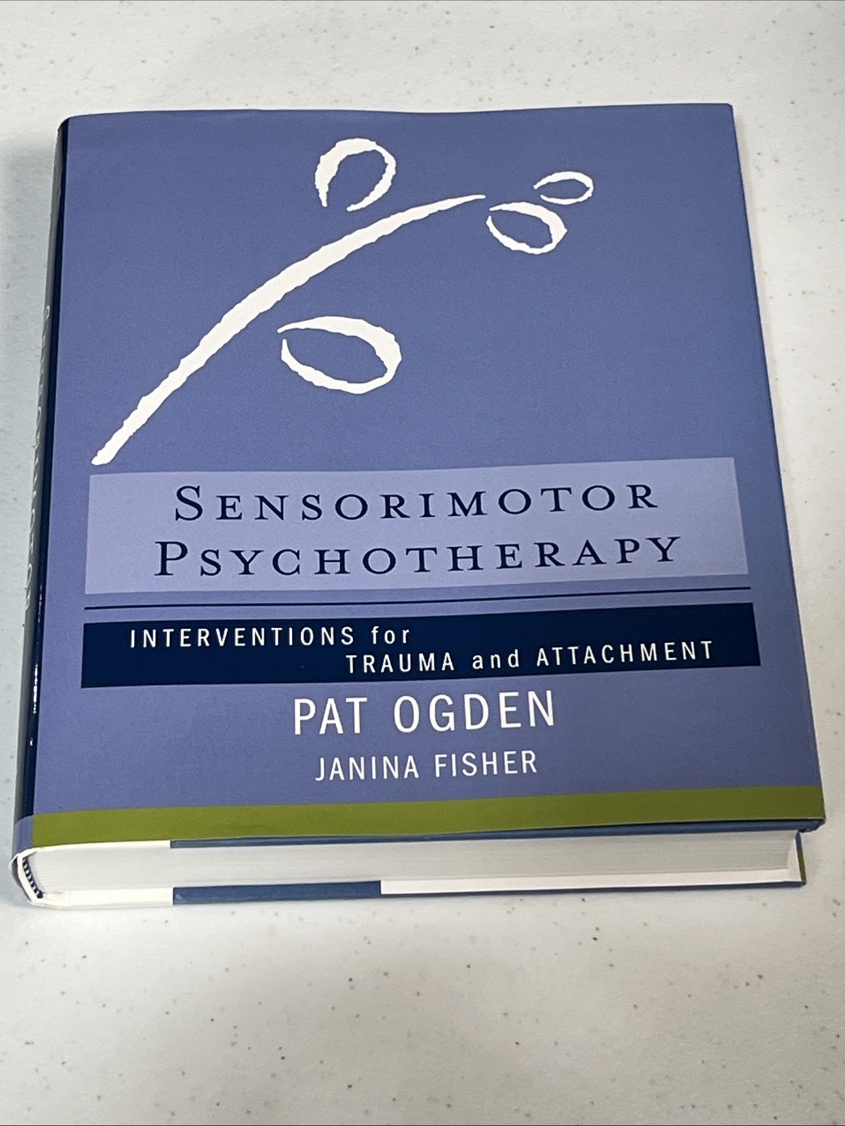 Norton Series on Interpersonal Neurobiology Ser.: Sensorimotor Psychotherapy…